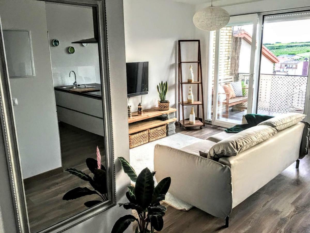 Apartamento Gaztainondoak Lanciego Kültér fotó
